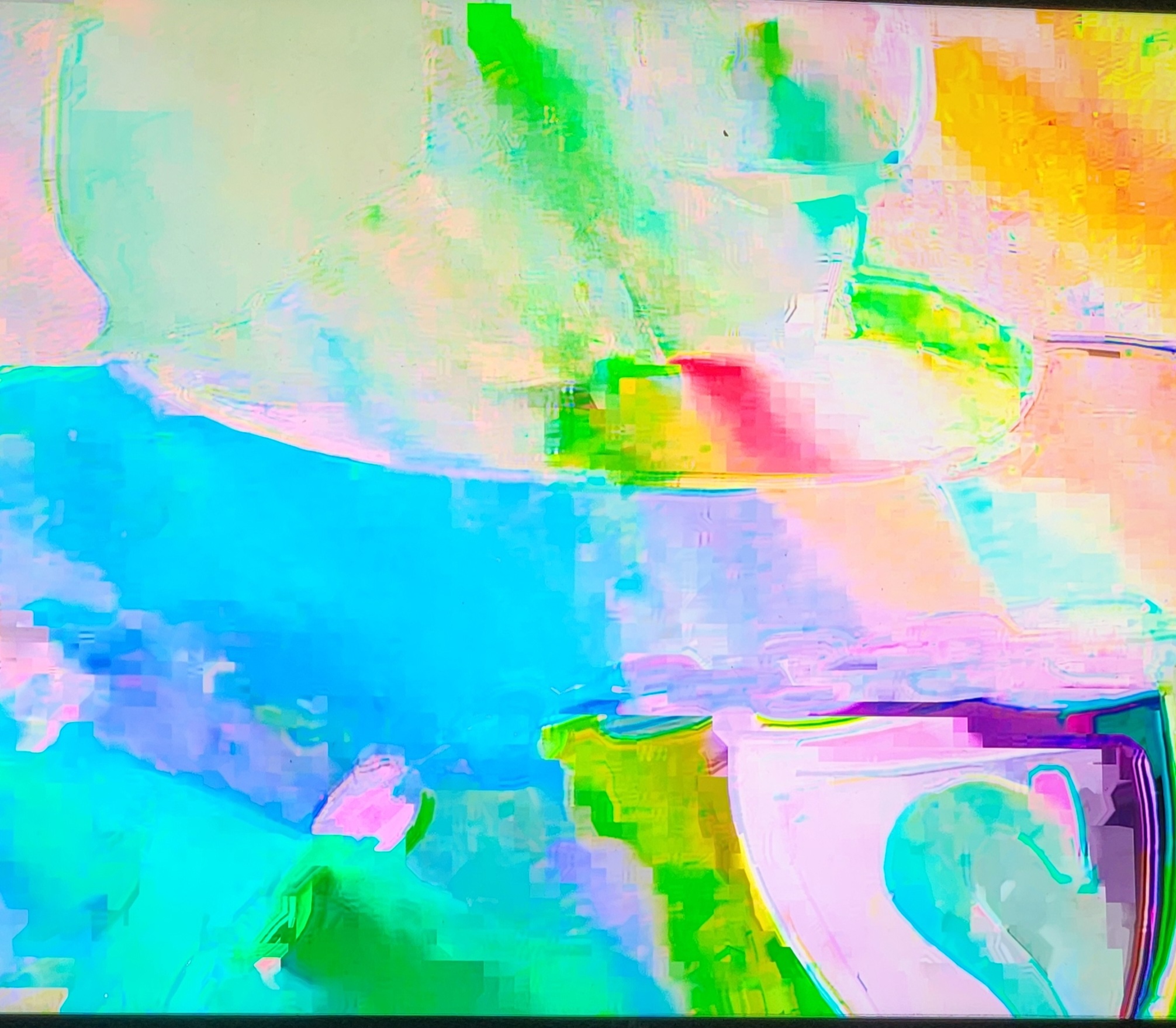 20251004_114429.jpg